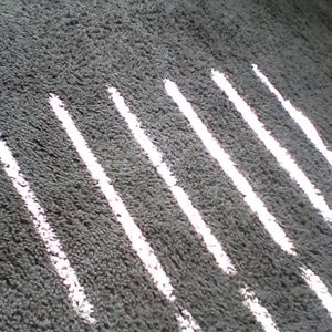 Meet your Posher, Zebbie